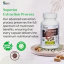 sayan-7-mushroom-extract-90-capsules440m-3.jpg