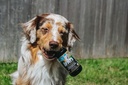 BiologicVET BioFATS - Contains Omegas 3, 6 & 9 - with EPA, DHA & ALA - for Dog & Cat - Skin & Joint Health Support - Includes Fish, Flaxseed & Olive Oil - 12 fl. oz. 6