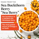 sibu Sea Buckthorn Omega-7 Softgels (60-Day Refill Sachet) – Supplement for Healthy Skin, Hair, Nails and Dryness 3