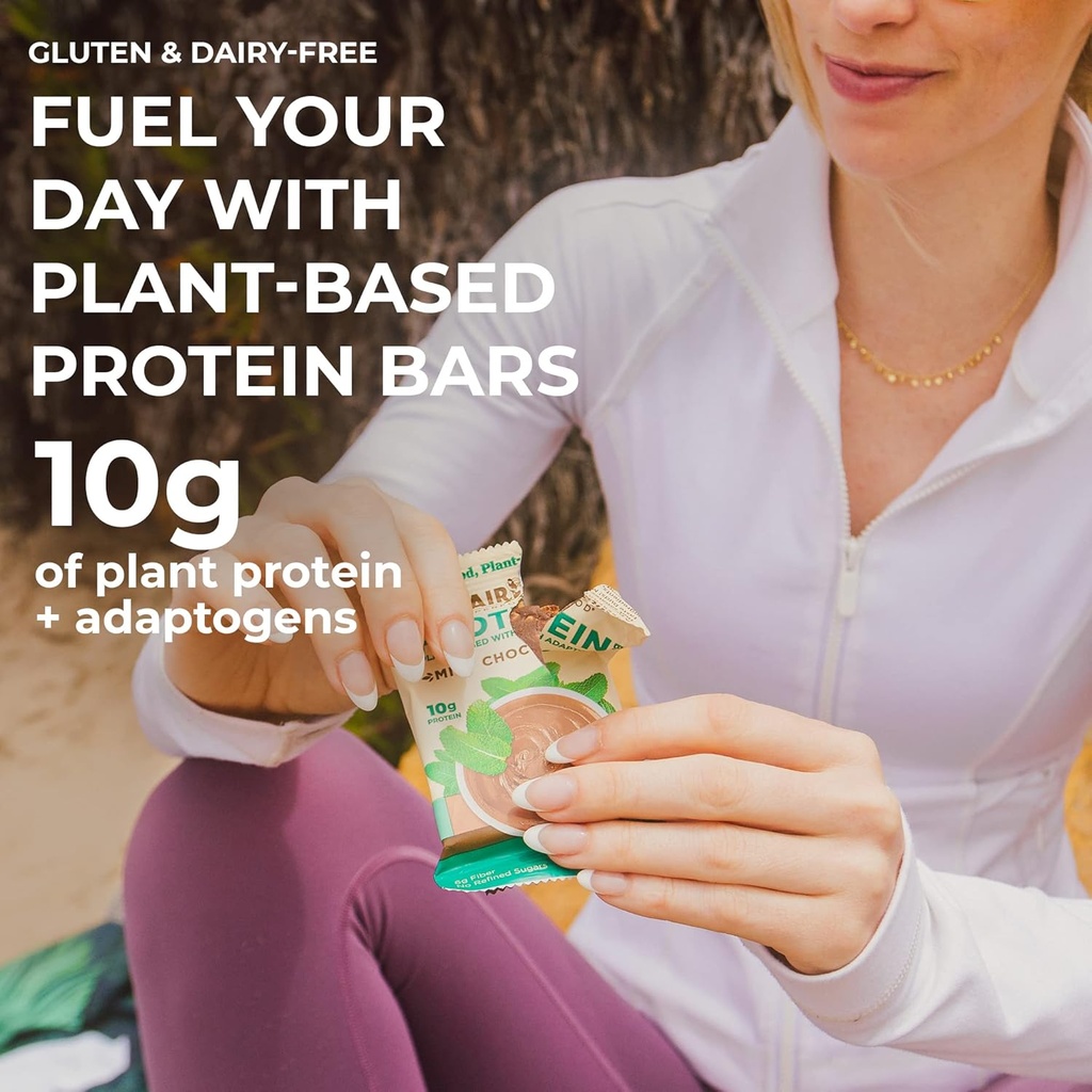 Laird Superfood Functional Protein Bars – Protein Bar but Better with Real Ingredients, Functional Mushrooms 10g Plant-Based Protein, 6g Fiber - Non-GMO - Mint Chocolate, 10 Count (Pack of 1) 6