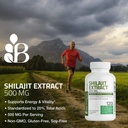bronson-shilajit-extract-500-mg-per-serv-3.jpg