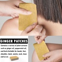 100-packs-ginger-pad-herbal-ginger-patch-4.jpg
