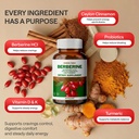 wonder-family-berberine-500-mg-glp-1-wei-5.jpg