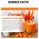 aihiyo-carotene-soft-capsule-500mg-beta--6.jpg