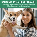 holistic-bin-canine-fermented-chlorella--4.jpg