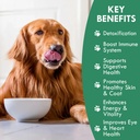 holistic-bin-canine-fermented-chlorella--5.jpg