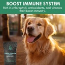 holistic-bin-canine-fermented-chlorella--2.jpg