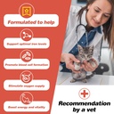 iron-supplements-for-cats---liquid-iron--2.jpg