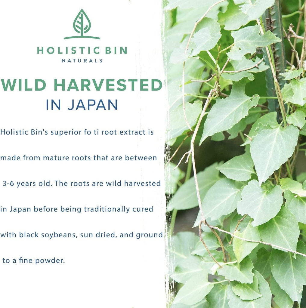 holistic-bin-japanese-he-shou-wu-fo-ti-p-3.jpg