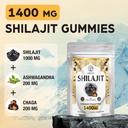 1000-mg-shilajit-tablets-60-count-with-o-3.jpg