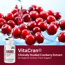 hormone-balance-candease-matrix-kidney-c-3.jpg