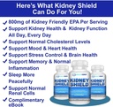 kidney-restore-kidney-shield-4-pack-bund-3.jpg