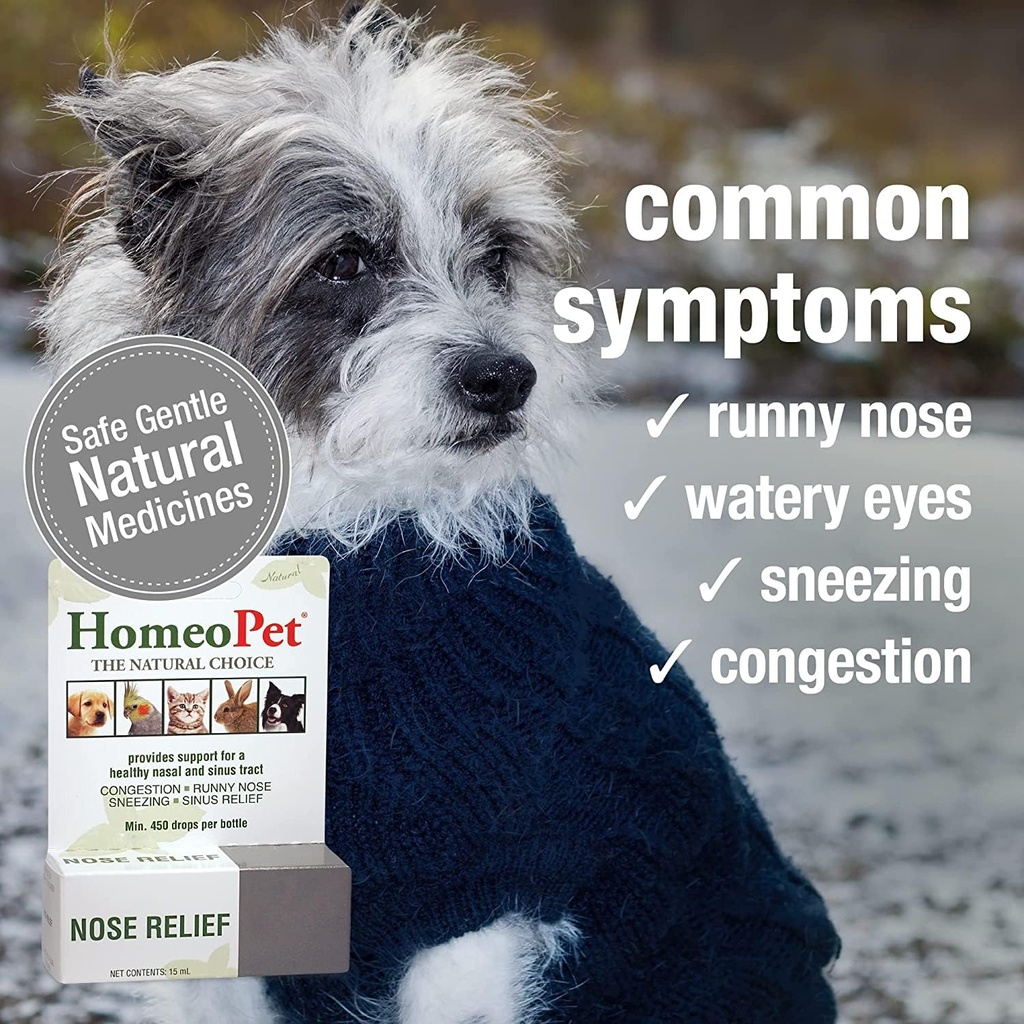 dog-homeopet-nose-relief-4.jpg
