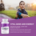 vimergy-nutridense-elderberry-zinc-berry-3.jpg