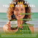 nad-supplement-for-women-with-resveratro-3.jpg
