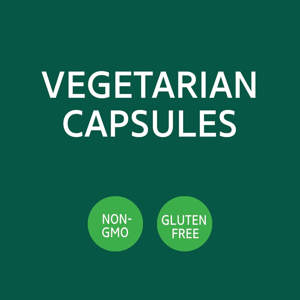 21st-century-vitamins-thistle-extract-ve-3.jpg