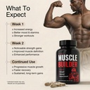 unaltered-anabolic-muscle-builder-for-me-3.jpg