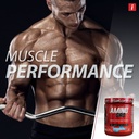 isatori-amino-gro-bcaa-powder-branched-c-3.jpg