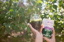 phresh-greens-raw-alkalizing-superfood-g-5.jpg