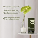 birdbe-the-power-prenatal-for-females----3.jpg