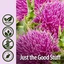 nature-s-answer-milk-thistle-60-vegetari-5.jpg