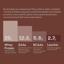 oath-nutrition-whey-protein-powder-choco-4.jpg