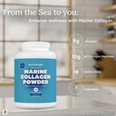 zen-principle-marine-collagen-peptides-p-5.jpg