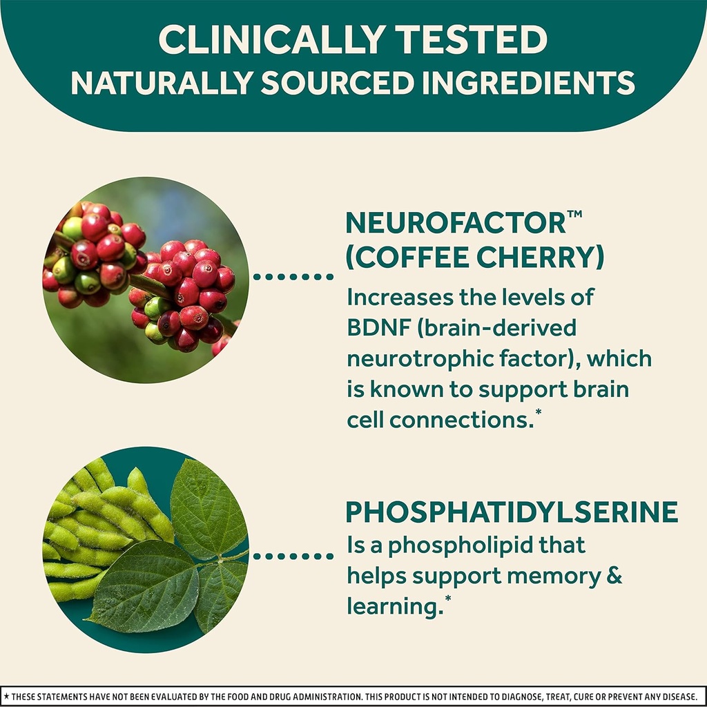 neuriva-original-brain-supplement-for-me-4.jpg