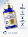 carlyle-glucosamine-chondroitin-msm-250--4.jpg