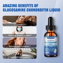 2-pack-glucosamine-chondroitin-msm-liqui-5.jpg