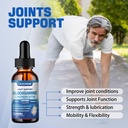 2-pack-glucosamine-chondroitin-msm-liqui-4.jpg