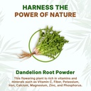 go-nutra-dandelion-root-powder-for-tea-c-5.jpg