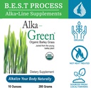 alkagreen-powder-best-process-alkaline-n-2.jpg