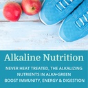 alkagreen-powder-best-process-alkaline-n-6.jpg