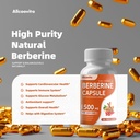 allcoovita-berberine-supplement-berberin-4.jpg