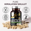 pure-himalayan-shilajit-supplement-for-m-3.jpg
