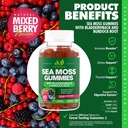 sea-moss-3000mg-gummies-with-bladderwrac-3.jpg