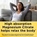 nature-made-high-absorption-magnesium-ci-3.jpg
