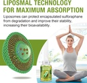 800-mg-liposomal-sulforaphane-powerful-d-5.jpg