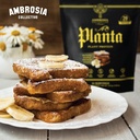 ambrosia-plant-based-protein-powder-20g--5.jpg