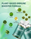 chlorophyll-gummies-for-body-odor-sugar--3.jpg