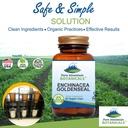 echinacea-goldenseal-capsules-kosher-veg-3.jpg