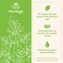 organic-india-moringa-herbal-supplement--3.jpg