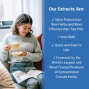 treasure-of-the-east-pseudostellaria-and-5.jpg