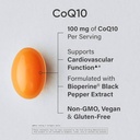 sports-research-antioxidant-support-pack-6.jpg