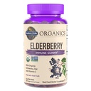 garden-of-life-organics-elderberry-immun-5.jpg