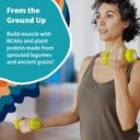 garden-of-life-organic-vegan-protein-pow-4.jpg
