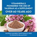 vitaminerals-33-baldrian-original-natura-4.jpg