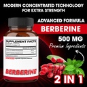 agobi-berberine-supplements-500mg-with-g-2.jpg