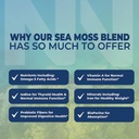 irish-sea-moss-capsules-with-organic-iri-4.jpg